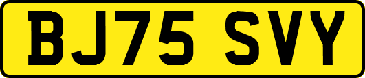 BJ75SVY
