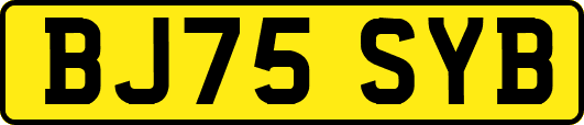 BJ75SYB