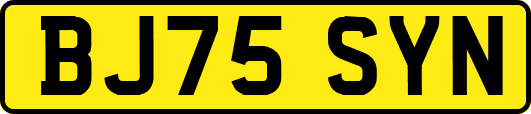 BJ75SYN