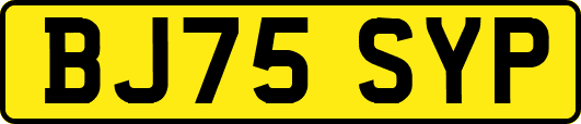 BJ75SYP