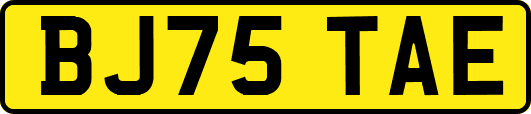 BJ75TAE