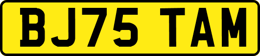 BJ75TAM