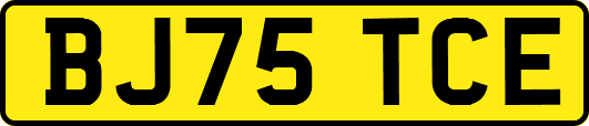 BJ75TCE