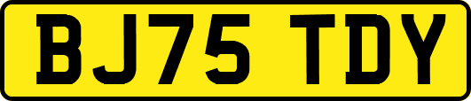 BJ75TDY
