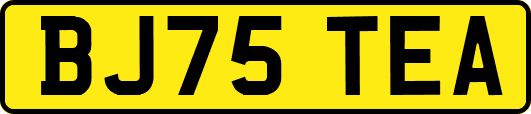 BJ75TEA