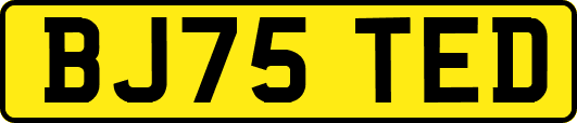 BJ75TED