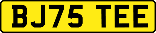 BJ75TEE