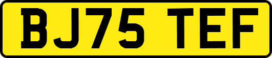 BJ75TEF
