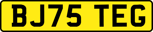 BJ75TEG