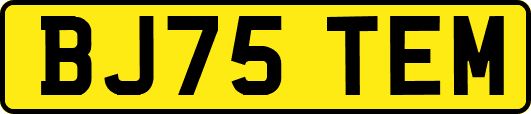 BJ75TEM