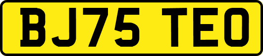 BJ75TEO