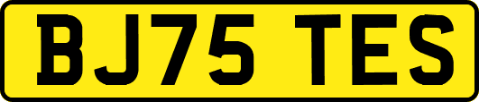 BJ75TES