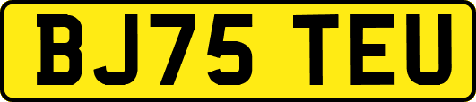 BJ75TEU