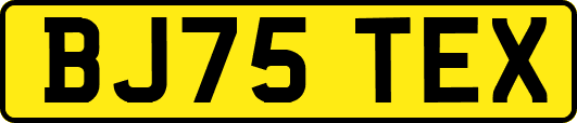 BJ75TEX