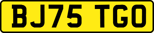 BJ75TGO