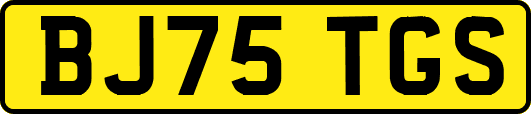 BJ75TGS