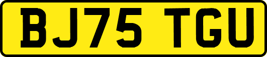 BJ75TGU