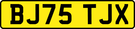 BJ75TJX