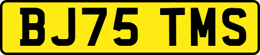 BJ75TMS
