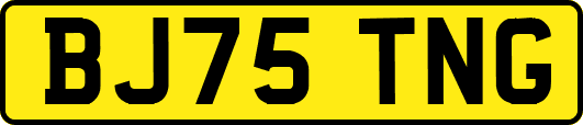 BJ75TNG