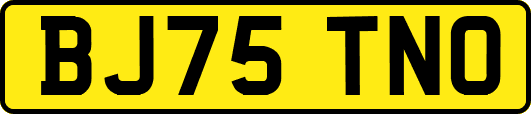BJ75TNO