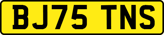 BJ75TNS