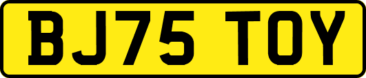 BJ75TOY