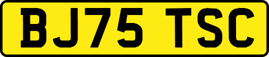 BJ75TSC