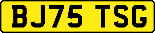 BJ75TSG