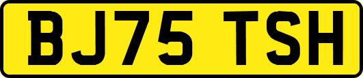 BJ75TSH