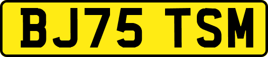 BJ75TSM