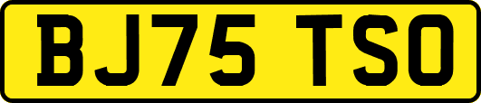 BJ75TSO