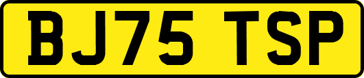 BJ75TSP