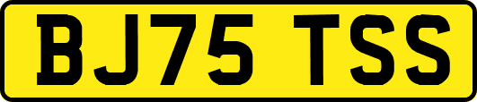 BJ75TSS