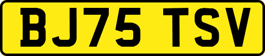 BJ75TSV
