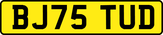 BJ75TUD