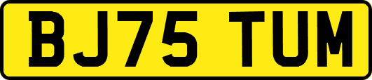 BJ75TUM