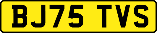 BJ75TVS