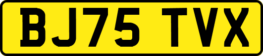 BJ75TVX