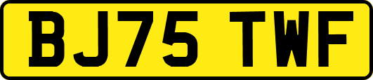 BJ75TWF