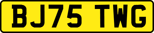 BJ75TWG