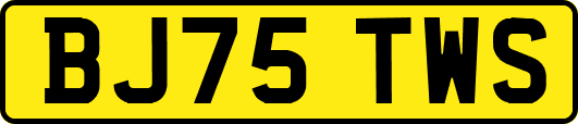 BJ75TWS