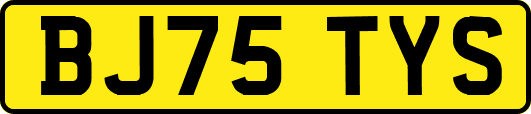BJ75TYS