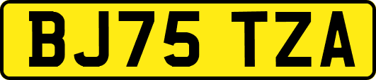 BJ75TZA