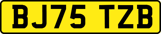 BJ75TZB