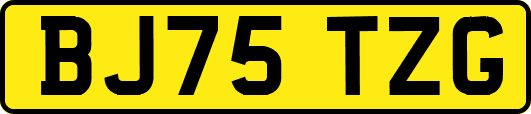 BJ75TZG