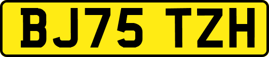 BJ75TZH