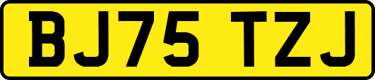 BJ75TZJ