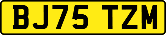 BJ75TZM
