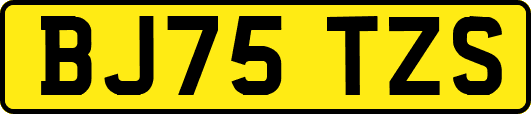 BJ75TZS